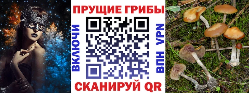 Галлюциногенные грибы мицелий  продажа наркотиков  Котовск 